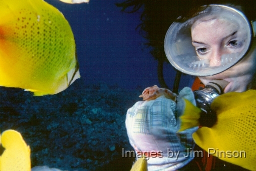  Fish gather as diver examines cowry.Taken at the cathedral cave formation near Lanai  on December 5, 1981.  We were diving  with the Lahaina dive shop located on Maui Hawaii.
