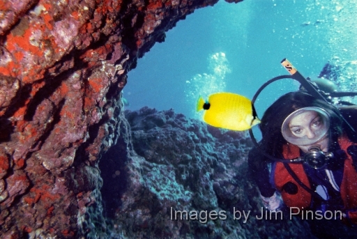  Lava tube cave system.Taken at the cathedral cave formation near Lanai on December 5, 1981.  We were diving  with the Lahaina dive shop located on Maui Hawaii.