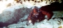 cavediver2