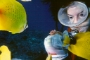 curious_fish
