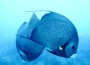 two-fish