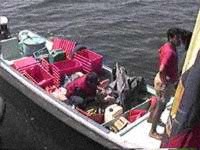 Pepinero supply boat