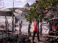makeshift huts in mangrove lagoon