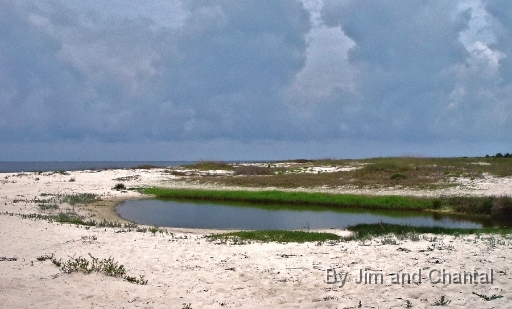  Inland pool. Bald Point Florida.