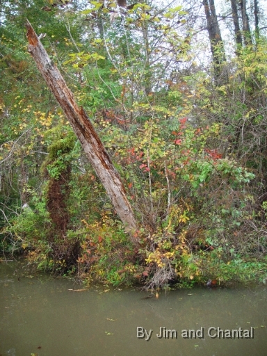  Lake Talquin and Little River, Gadsden Co. Florida