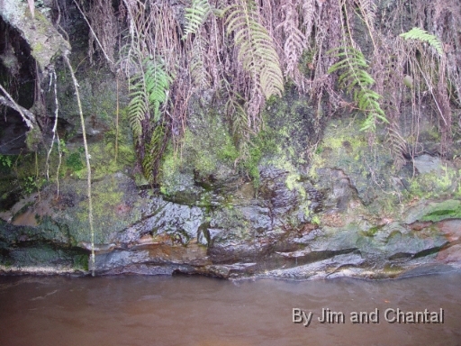  Lake Talquin and Little River, Gadsden Co. Florida