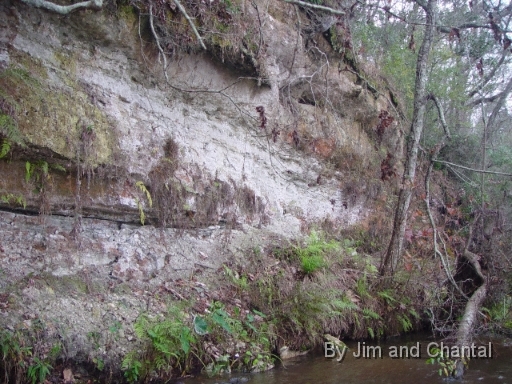  Lake Talquin and Little River, Gadsden Co. Florida