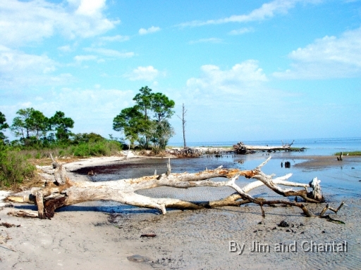  The river side of Mashes Sands on the Ochlockonee river, at low tide.