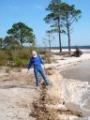 sea-foam