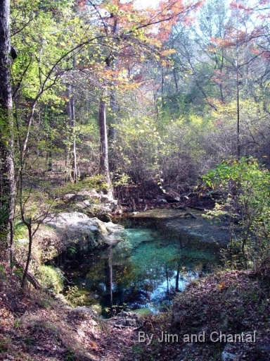  Cow Sink.  A cave and cavern diving site owned by the NSS-CDS  (National Speleological Society - Cave Diving Section).