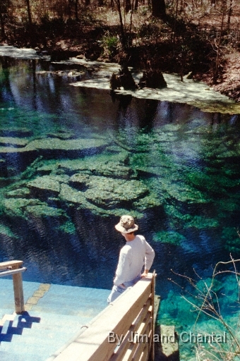  The steps leading to the Peacock Springs main entrance.  (Photographed by Chantal Blanton)