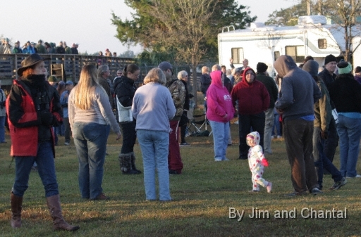  Operation Migration whooping crane flyover at St. Marks Florida 2012.