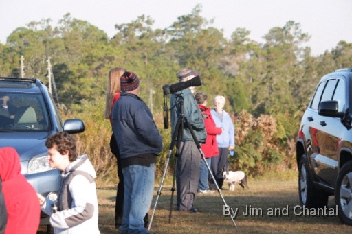 Operation Migration whooping crane flyover at St. Marks Florida 2012.