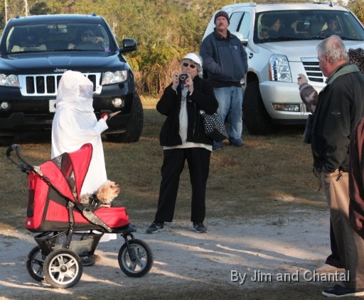  Operation Migration whooping crane flyover at St. Marks Florida 2012.