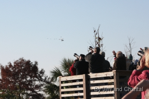  Operation Migration whooping crane flyover at St. Marks Florida 2012.