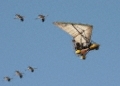 IMG_3175_CR2