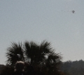 IMG_3196_CR2