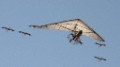 IMG_3215_CR2