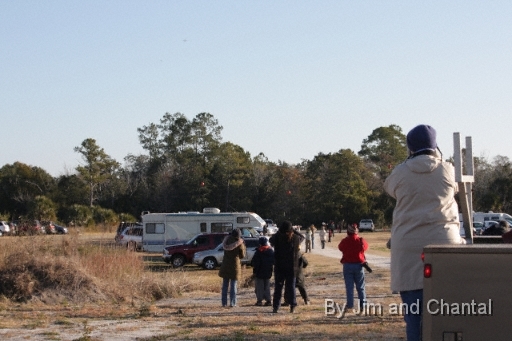  Excited viewers spot ultralight aircraft with whooping cranes at St. Mark's.