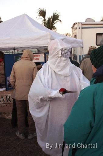  Costume worn by Whooping Crane handlers to disguise the human form and avoid imprinting on humans.  Young cranes interact with the "crane head" puppet, shown here.  Visitor education is an important part of Operation Migration flyover events.  Whooping Crane flyover, St. Mark's, Florida, January 17, 2009.