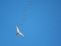 DSC00777