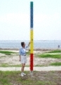 shell-point-surgemarker