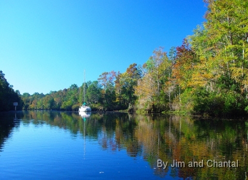  The St. Marks river near the WWII PT boat shipyard.