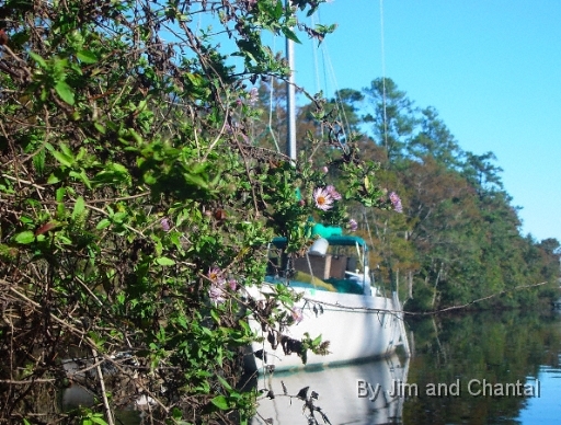  St. Marks river near the old WWII PT boat ship yard.