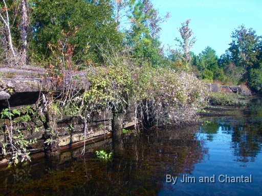 Docks of old WWII PT boat ship yard on St. Marks River.