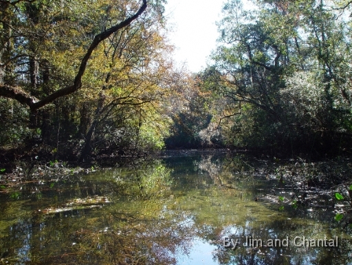  St. Marks river upstream from the US 98 bridge.