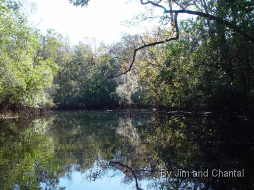  St. Marks river upstream from the US 98 bridge.