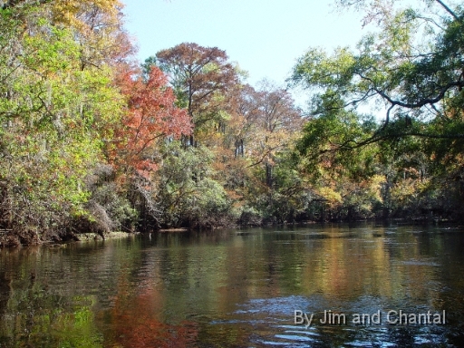  St. Marks river upstream from the US 98 bridge.