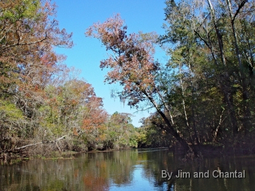  St. Marks river upstream from the US 98 bridge.