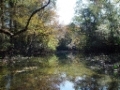 DSC03370