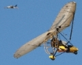operation-migration-2012