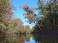 st-marks-river