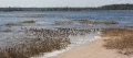 wakulla-beach