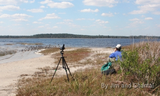  Images from Wakulla Beach Florida