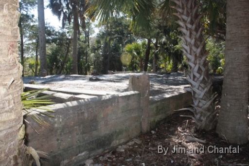  Images from Wakulla Beach Florida
