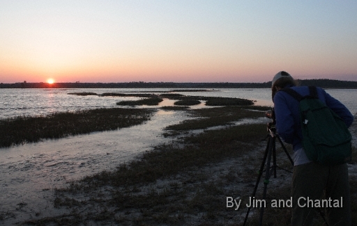  Images from Wakulla Beach Florida