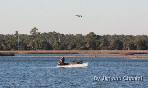  Images from Wakulla Beach Florida