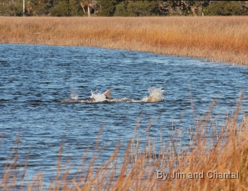  Images from Wakulla Beach Florida