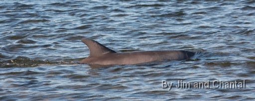  Images from Wakulla Beach Florida