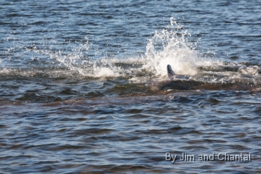  Images from Wakulla Beach Florida