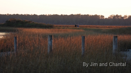  Images from Wakulla Beach Florida