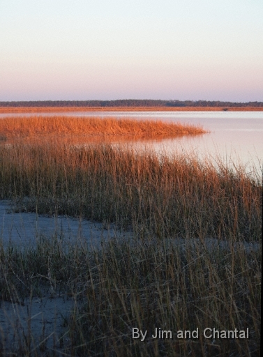  Images from Wakulla Beach Florida