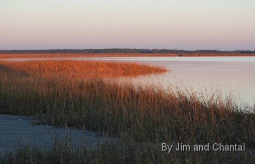  Images from Wakulla Beach Florida