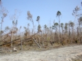 dscn1082